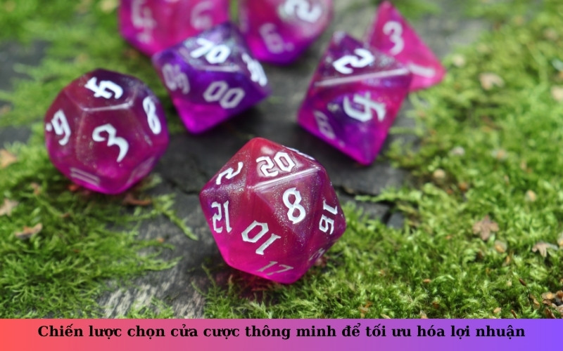 Chiến lược chọn cửa cược thông minh để tối ưu hóa lợi nhuận