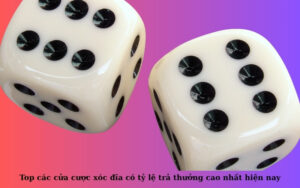 Top các cửa cược xóc đĩa có tỷ lệ trả thưởng cao nhất hiện nay